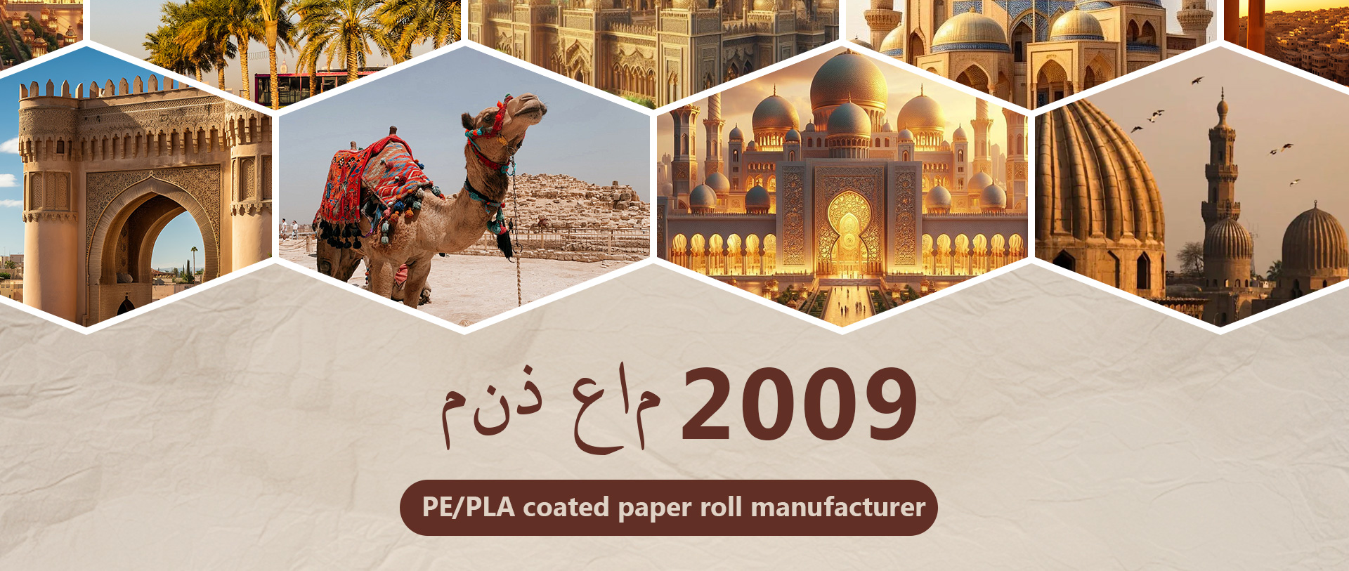 PE coated paper